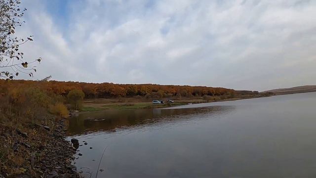 РЫБАЛКА УДАЛАСЬ! / ФИДЕРНАЯ РЫБАЛКА / ЧИСТЫЙ КАЙФ! смотреть онлайн