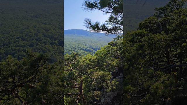 Планческие скалы, предгорье Кавказа, краснодарский край смотреть онлайн