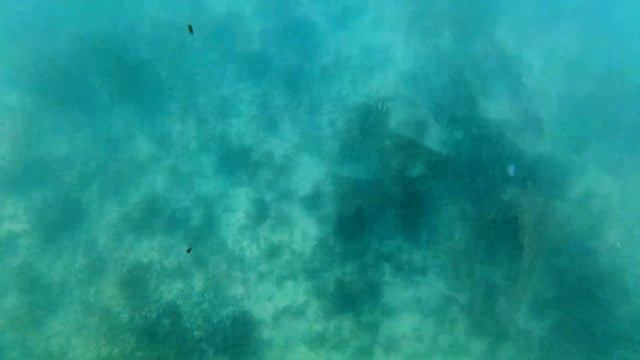 Lobstering in the Florida Keys | Mini Season Day 2 | A Tough Season смотреть онлайн