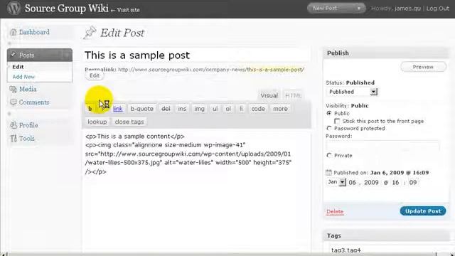 Wiki Video Tutorial 2 - Edit Post смотреть онлайн