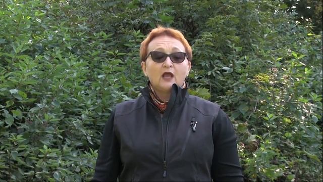 Развитие координации в скандинавской ходьбе смотреть онлайн