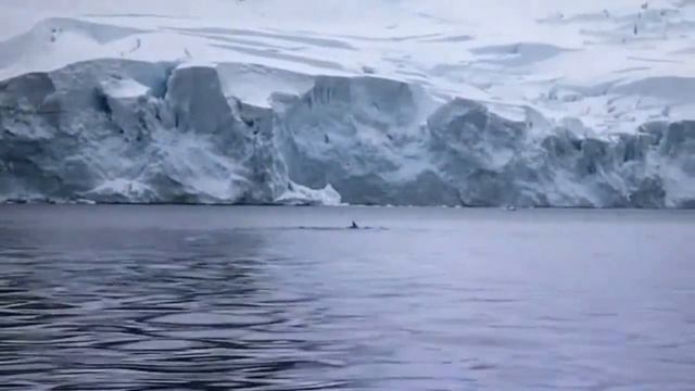 Vangelis Antarctica Echoes смотреть онлайн