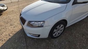 МАНАС РЫНОК 23 НОЯБРЯ 2023Г