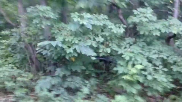 Владивосток. Сопки смотреть онлайн