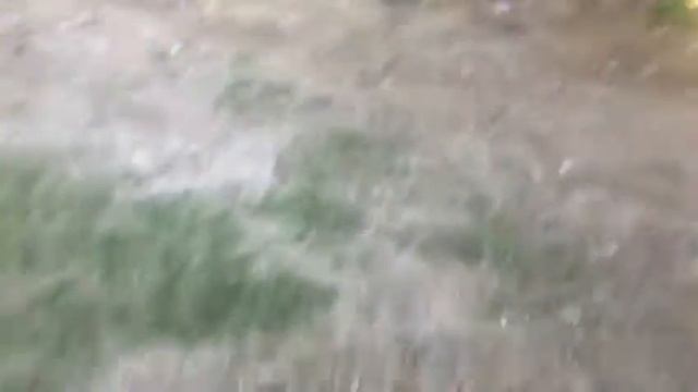 дачные общества отдых смотреть онлайн