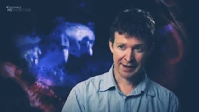 Дикие животные Австралии!! смотреть онлайн