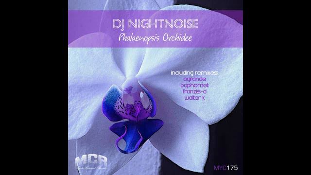 DJ Nightnoise - Phalaenopsis Orchidee (Agrande Remix) смотреть онлайн