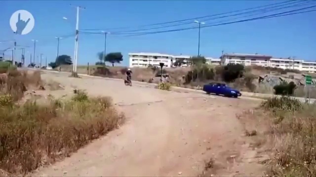 Собака, которая не смогла смотреть онлайн