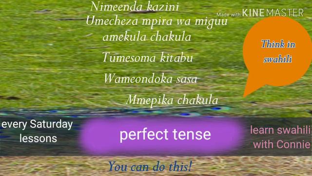 PRESENT PERFECT TENSE INFIX -ME-|SWAHILI GRAMMAR смотреть онлайн