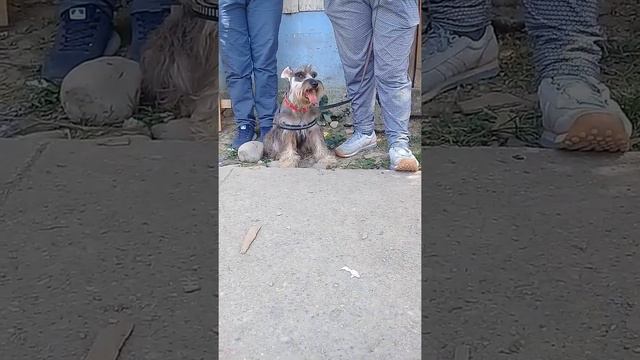 mi quira смотреть онлайн