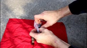 Замена датчика скорости на Hyundai Elantra 2,0 Хендай Элантра 2002 года