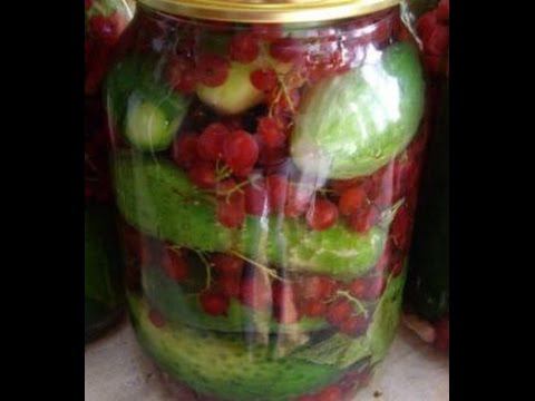 Маринованные огурцы с красной смородиной - рецепт хрустящих маринованных огурцов. смотреть онлайн