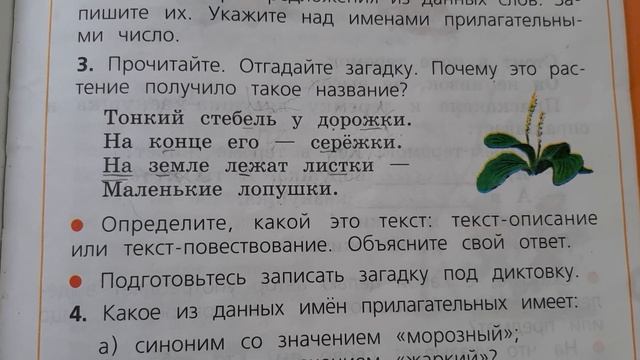 Русский язык. Стр 98-99. Повторение по теме "Имя прилагательное". смотреть онлайн