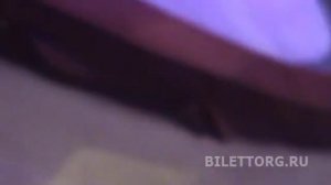 Цирк на проспекте Вернадского схема зала, сектор А и Е