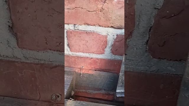 Органайзер для огородных инструментов. смотреть онлайн