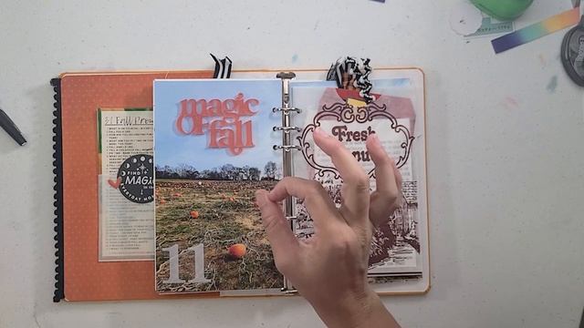 October Daily FLIPTHROUGH 2021 - Citrus Twist Albums And Echo Park Collection
