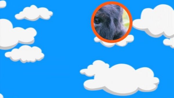 Guess the Animal Game and Learning to Count Animals