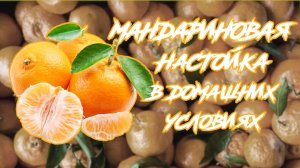 Мандариновая настойка в домашних условиях. Рецепт