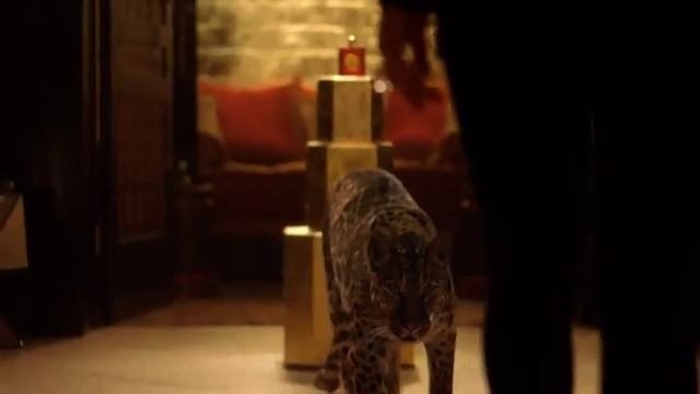 Yves Saint Laurent Opium - new parfum video commercial смотреть онлайн