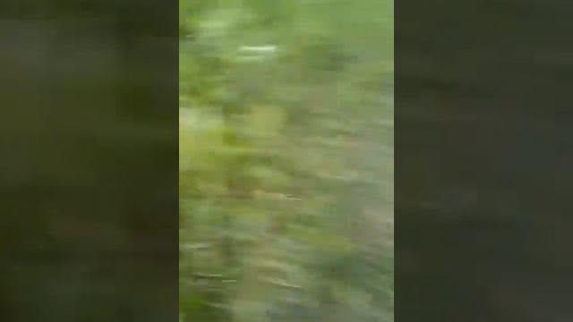 Речка Тилигул поднялась где-то на два метра после дождя смотреть онлайн