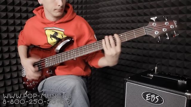 Бас-гитара SCHECTER C-5 DELUXE смотреть онлайн