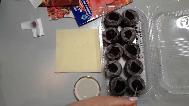 ОДНОРІЧНИКІ. Гарний спосіб .Завжди 100% сходів.Легкий спосіб,який працює. смотреть онлайн