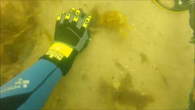 Дайвинг Металл Старый Детектирование смотреть онлайн