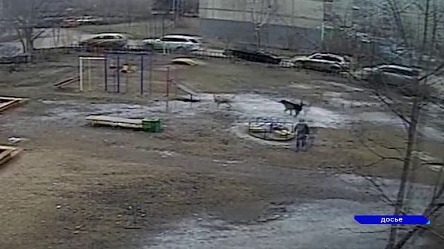 Новости "Волга -24" 26.04.2023 11:00