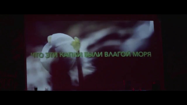 Дельфин -" Dolphin" - Надя. (Оfficial, Новый клип) HD смотреть онлайн