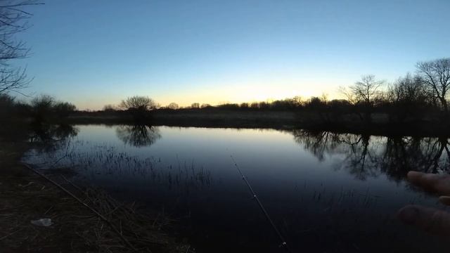 р. Луга. Ловим подлещика на поплавочную снасть . Весна 2020г. смотреть онлайн