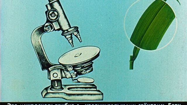 Для чего деревьям листьям (Феликс Лев) смотреть онлайн