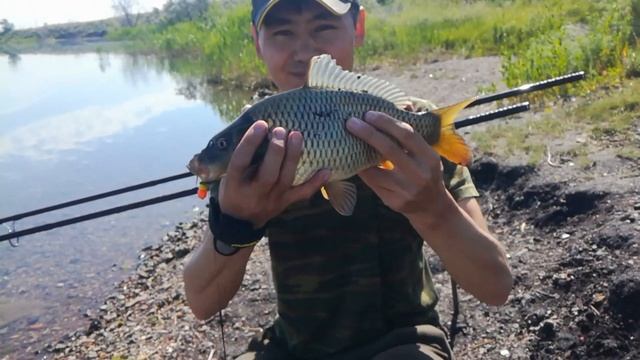 Рыбалка на карпа 33 шахта г.Караганда смотреть онлайн