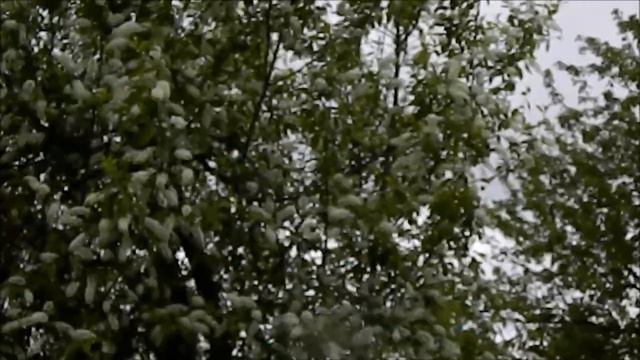 Ты меня подожди... смотреть онлайн