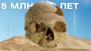 Скелет гуманоида пролежал в песках Африки 5 млн лет