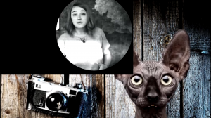 Чахохбили пошло не в то горлО / Кот Костян