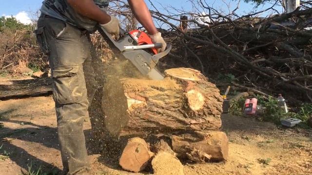 ПРОДОЛЬНЫЙ РАСПИЛ ПНЯ АКАЦИИ. Цепь Для продольного Пиления. смотреть онлайн