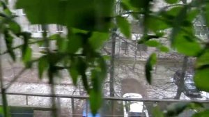 Гидропоника для огурцов и помидоров.Прямо на подоконнике.