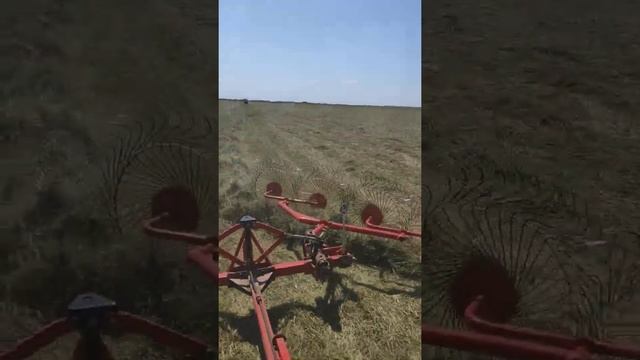 Грабли Ворошилки Harvest в работе смотреть онлайн