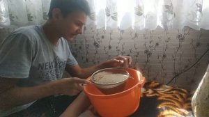 Мучные черви. Как я развожу мучника.