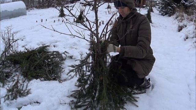 Дом в деревне.Первый снег.Как мы подготавливаем сад к зиме.Помогаем птицам и котам. смотреть онлайн