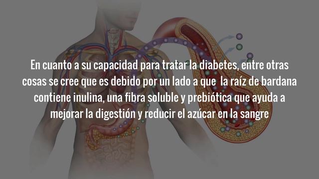Como Bajar El Azucar En La Sangre Tomando El Te De Esta Planta смотреть онлайн