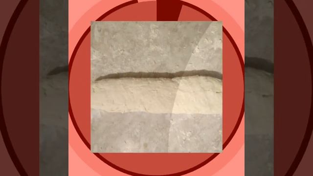 Готовим с умом и вдохновением 