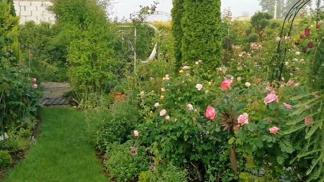 Туманное утро в Фарфоровом саду. Без слов. Ведь красота - это почти молитва смотреть онлайн