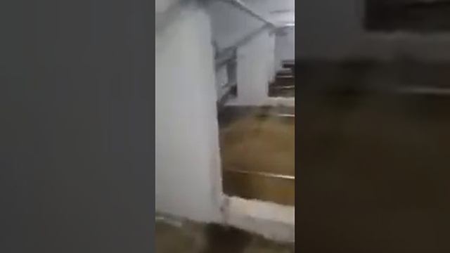 Линейный бетононасос Стационарный бетононасос Бетононасос для прокачки керамзитобетона смотреть онлайн