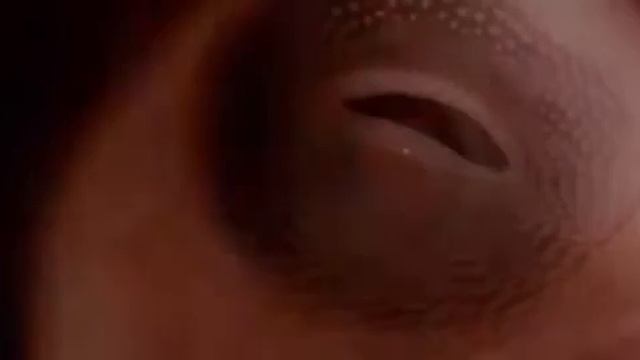 Вся история нашей Вселенной за 90 секунд | The entire history of our Universe in 90 seconds смотреть онлайн