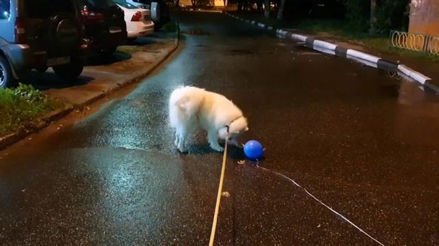 4 утра, душа требует праздника смотреть онлайн