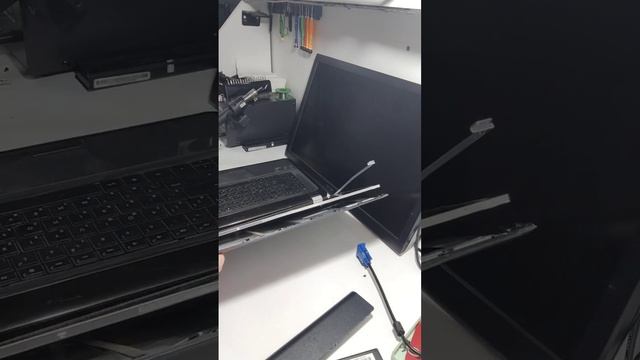 Покупка НР ноутбука смотреть онлайн