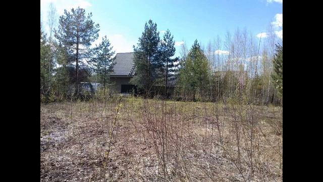 Участок 6 сот. в СНТ Заря, п. Новозавидовский смотреть онлайн