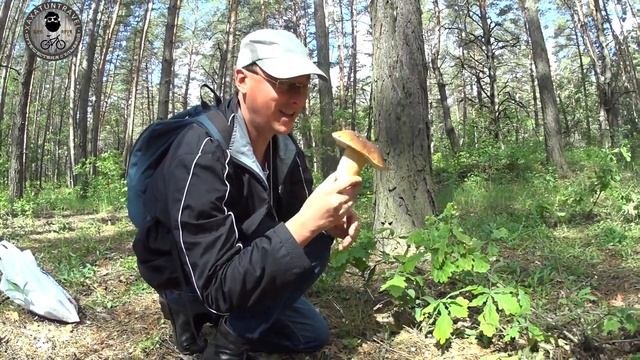 Сбор белых грибов. Тихая охота в мае смотреть онлайн