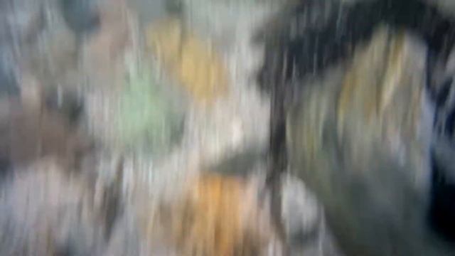 SJCAM SJ8 AIR Тест подводной съёмки